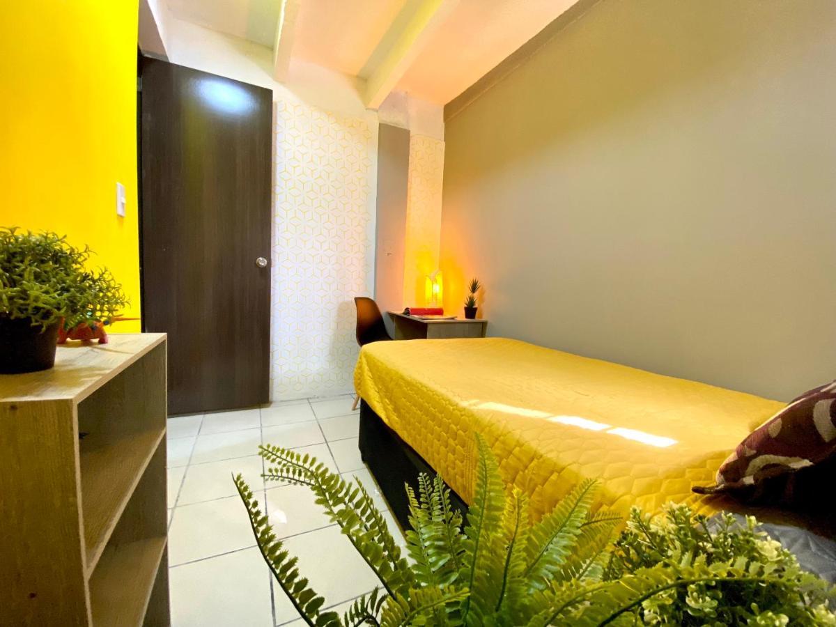 Roomies Hostel - Santa Maria La Ribera Meksika Dış mekan fotoğraf