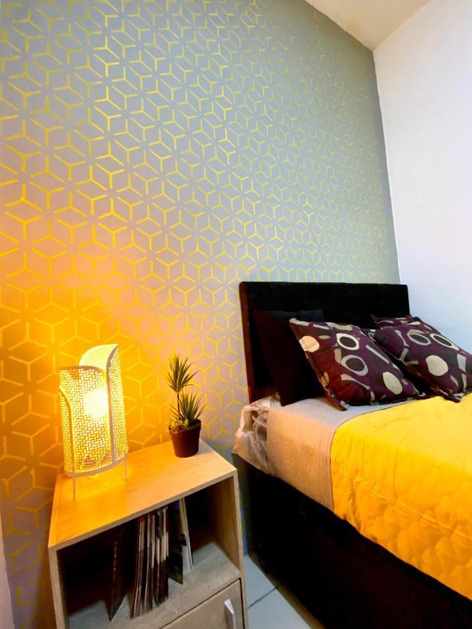 Roomies Hostel - Santa Maria La Ribera Meksika Dış mekan fotoğraf