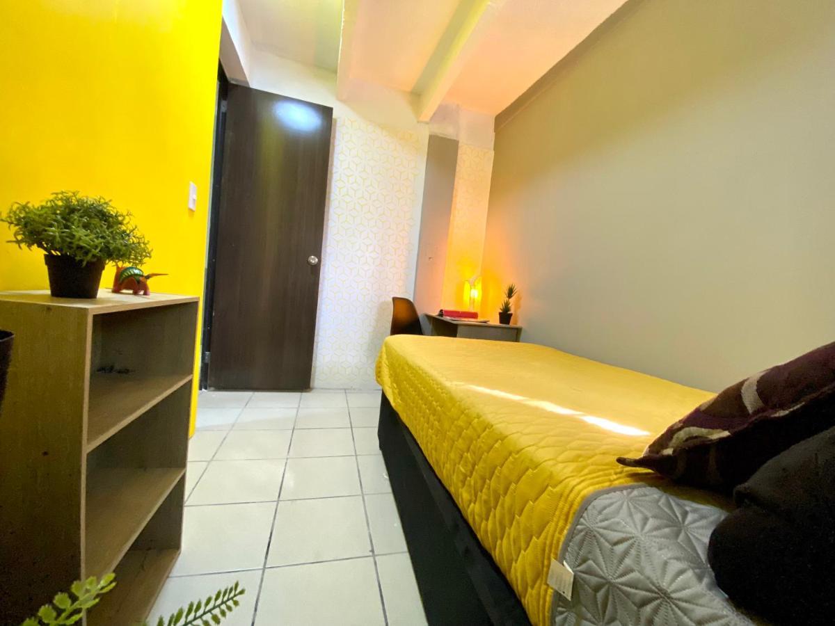 Roomies Hostel - Santa Maria La Ribera Meksika Dış mekan fotoğraf