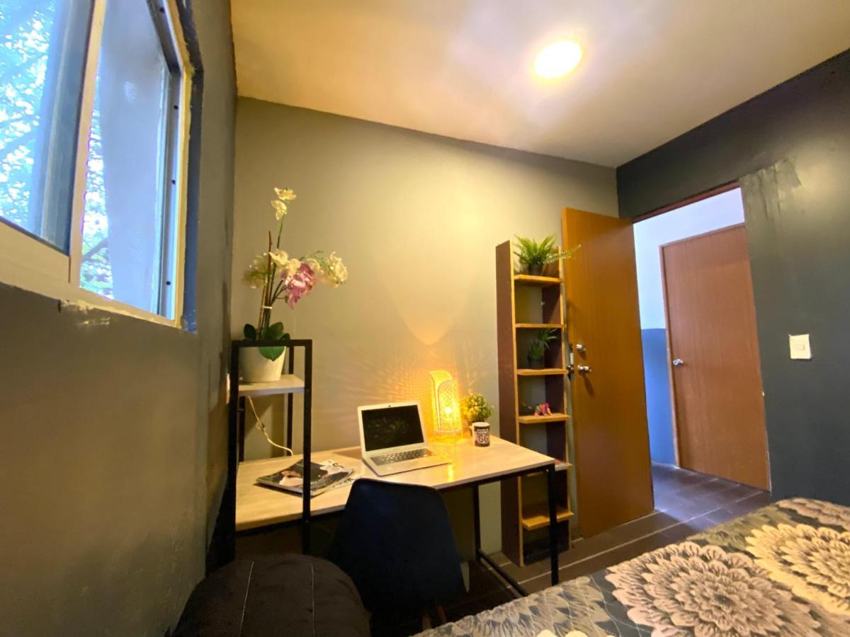 Roomies Hostel - Santa Maria La Ribera Meksika Dış mekan fotoğraf