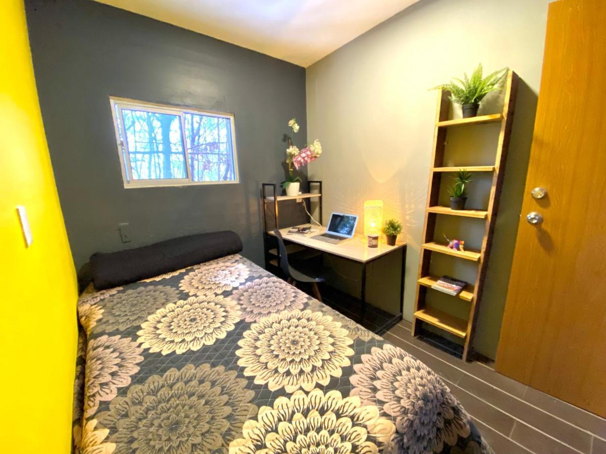 Roomies Hostel - Santa Maria La Ribera Meksika Dış mekan fotoğraf
