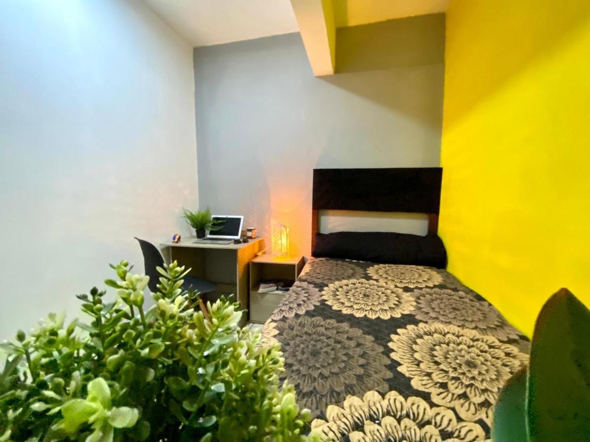 Roomies Hostel - Santa Maria La Ribera Meksika Dış mekan fotoğraf