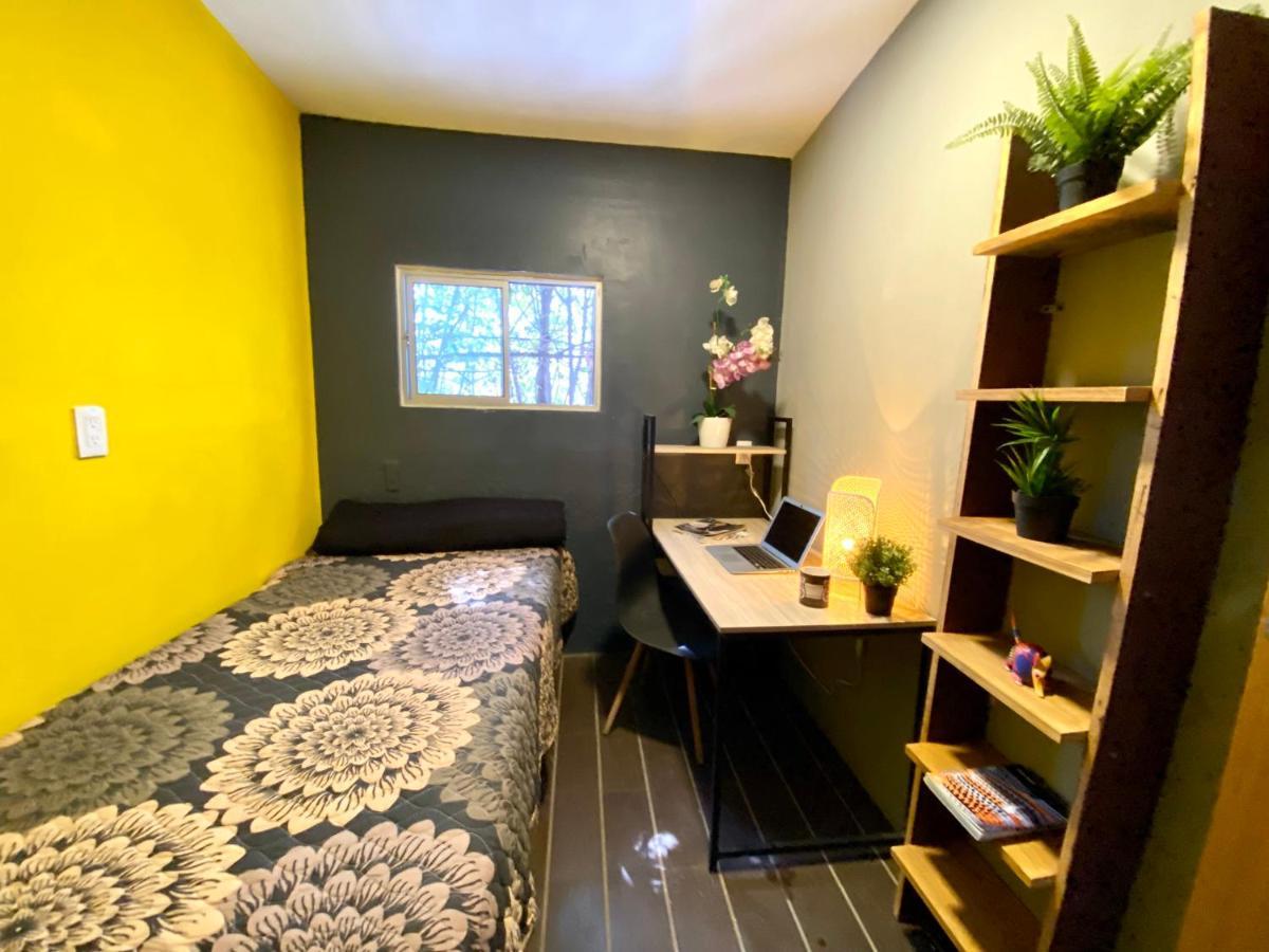 Roomies Hostel - Santa Maria La Ribera Meksika Dış mekan fotoğraf