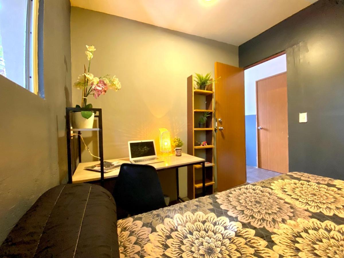 Roomies Hostel - Santa Maria La Ribera Meksika Dış mekan fotoğraf